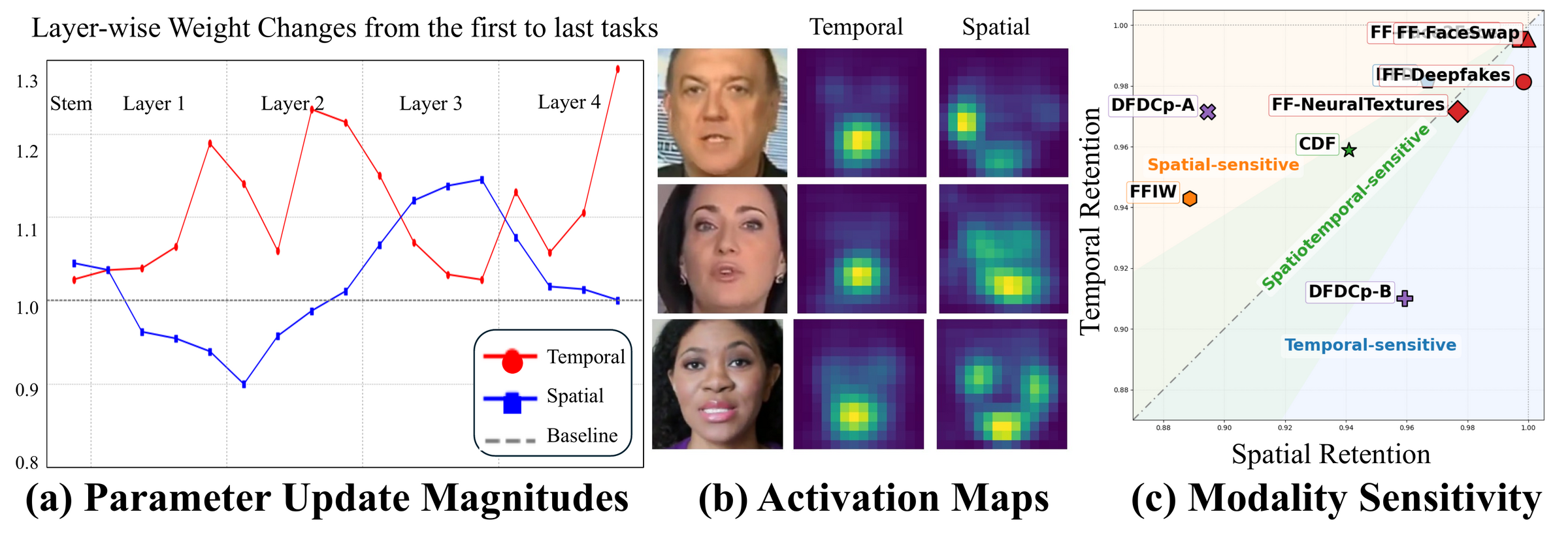 Analysis: parameter update magnitudes, activation maps, dataset-wise modality sensitivity