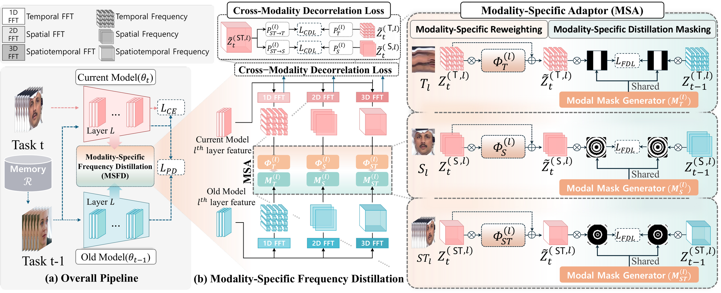 MSFD framework: modality-wise FFT decomposition, Modality-Specific Adaptor, Cross-Modality Decorrelation Loss